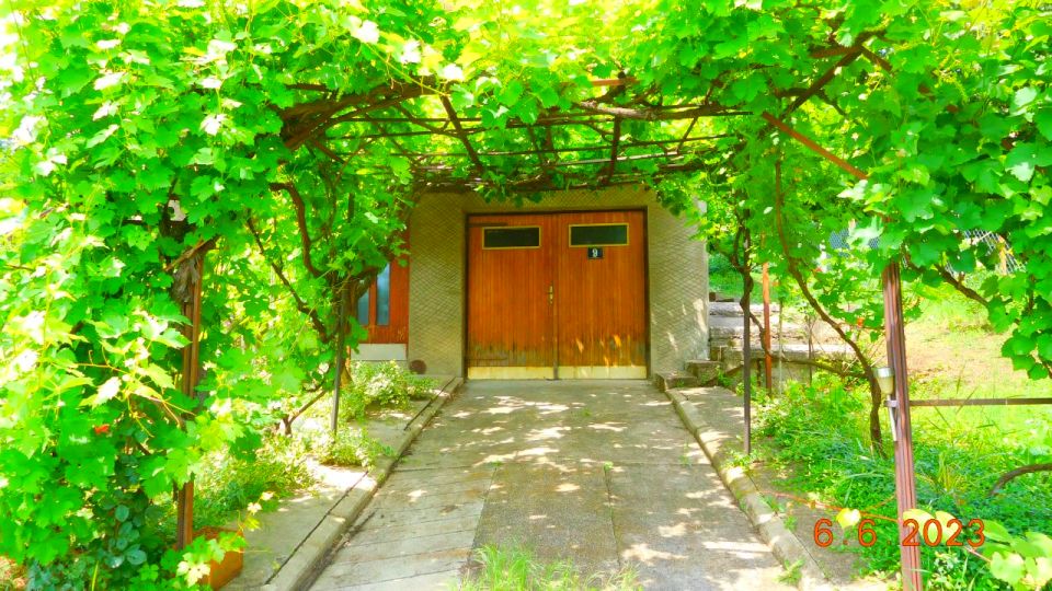 <center>Zajecar 2023 (15)</center>
